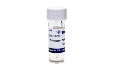 Follistatin Fc fusion, human recombinant