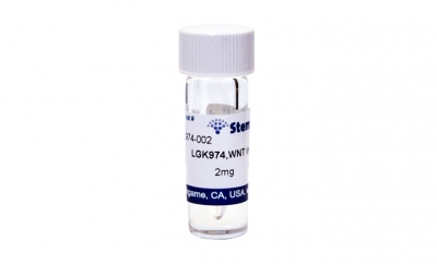 LGK974, WNT inhibitor